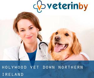 Holywood vet (Down, Northern Ireland)