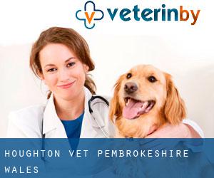 Houghton vet (Pembrokeshire, Wales)