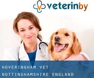 Hoveringham vet (Nottinghamshire, England)