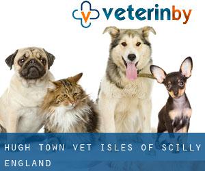 Hugh Town vet (Isles of Scilly, England)