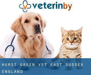 Hurst Green vet (East Sussex, England)