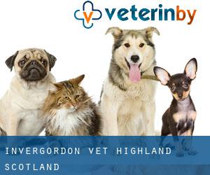 Invergordon vet (Highland, Scotland)