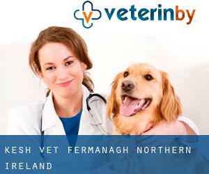 Kesh vet (Fermanagh, Northern Ireland)