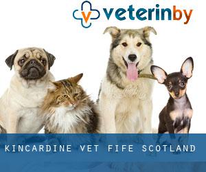 Kincardine vet (Fife, Scotland)
