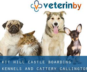 Kit Hill Castle Boarding Kennels and Cattery (Callington)