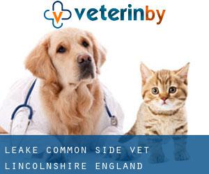 Leake Common Side vet (Lincolnshire, England)