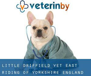 Little Driffield vet (East Riding of Yorkshire, England)