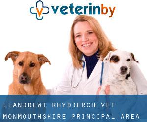 Llanddewi Rhydderch vet (Monmouthshire principal area, Wales)