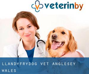 Llandyfrydog vet (Anglesey, Wales)