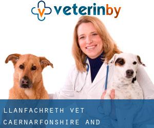 Llanfachreth vet (Caernarfonshire and Merionethshire, Wales)