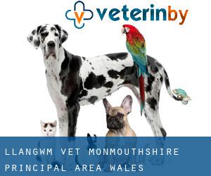 Llangwm vet (Monmouthshire principal area, Wales)