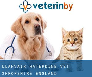 Llanvair Waterdine vet (Shropshire, England)