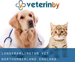 Longframlington vet (Northumberland, England)