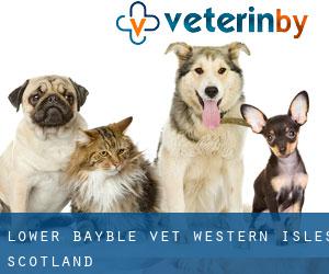 Lower Bayble vet (Western Isles, Scotland)