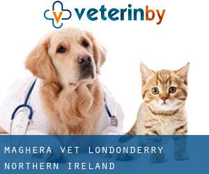 Maghera vet (Londonderry, Northern Ireland)