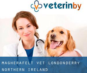 Magherafelt vet (Londonderry, Northern Ireland)