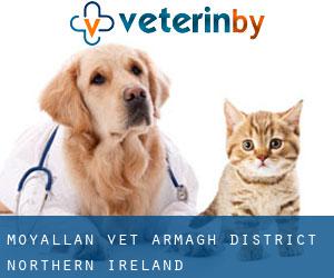 Moyallan vet (Armagh District, Northern Ireland)