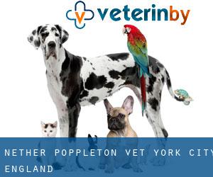Nether Poppleton vet (York City, England) Nether Poppleton vet (York City, England)