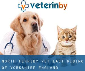 North Ferriby vet (East Riding of Yorkshire, England)