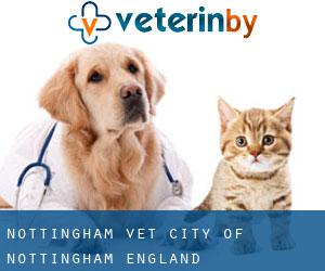 Nottingham vet (City of Nottingham, England)