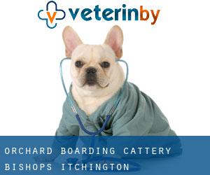 Orchard Boarding Cattery (Bishops Itchington)