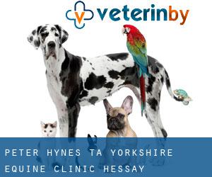 Peter Hynes t/a Yorkshire Equine Clinic (Hessay)