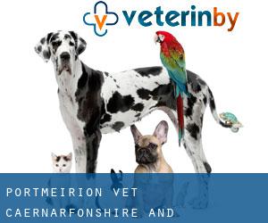 Portmeirion vet (Caernarfonshire and Merionethshire, Wales)