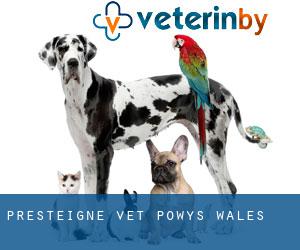 Presteigne vet (Powys, Wales) Presteigne vet (Powys, Wales)