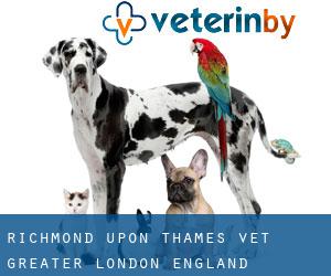 Richmond upon Thames vet (Greater London, England)