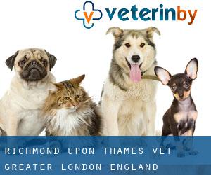 Richmond upon Thames vet (Greater London, England)