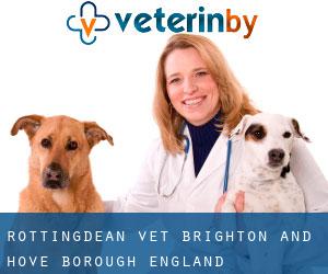 Rottingdean vet (Brighton and Hove (Borough), England)
