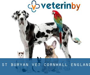 St. Buryan vet (Cornwall, England)