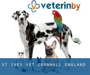 St Ives vet (Cornwall, England)