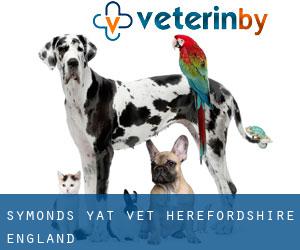 Symonds Yat vet (Herefordshire, England)
