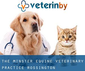 The Minster Equine Veterinary Practice (Rossington)