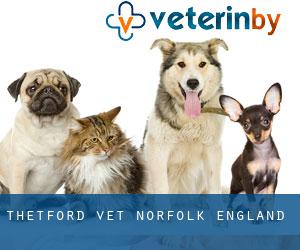 Thetford vet (Norfolk, England) Thetford vet (Norfolk, England)