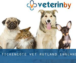 Tickencote vet (Rutland, England)