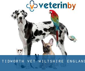 Tidworth vet (Wiltshire, England)