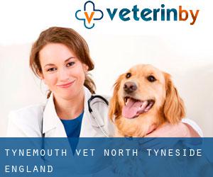 Tynemouth vet (North Tyneside, England)