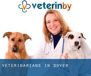 Veterinarians in Dover