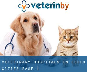 veterinary hospitals in Essex (Cities) - page 1