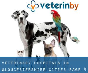 veterinary hospitals in Gloucestershire (Cities) - page 4