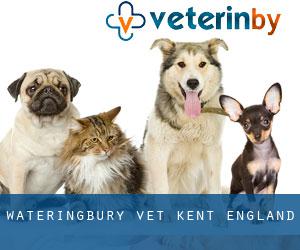 Wateringbury vet (Kent, England)