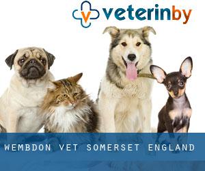 Wembdon vet (Somerset, England)