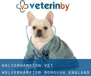 Wolverhampton vet (Wolverhampton (Borough), England)