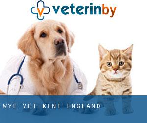 Wye vet (Kent, England)