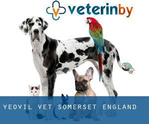 Yeovil vet (Somerset, England) Yeovil vet (Somerset, England)